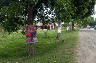 Bawaslu Sayangkan Pemasangan Poster Jokowi di Jalan Protokol Palopo