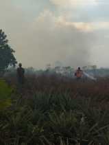 Sudah 20 Hektar Lahan Terbakaran Lahan di Rohil