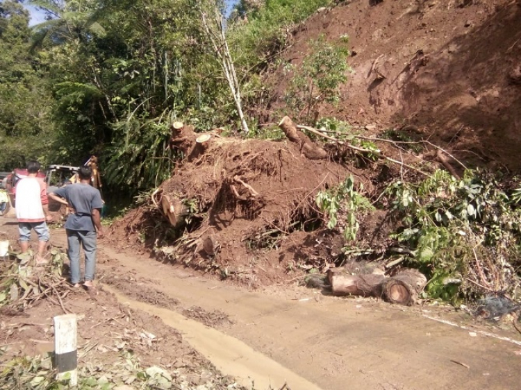Bencana Longsor di Kecamatan Palupuh, Agam Sumatera Barat