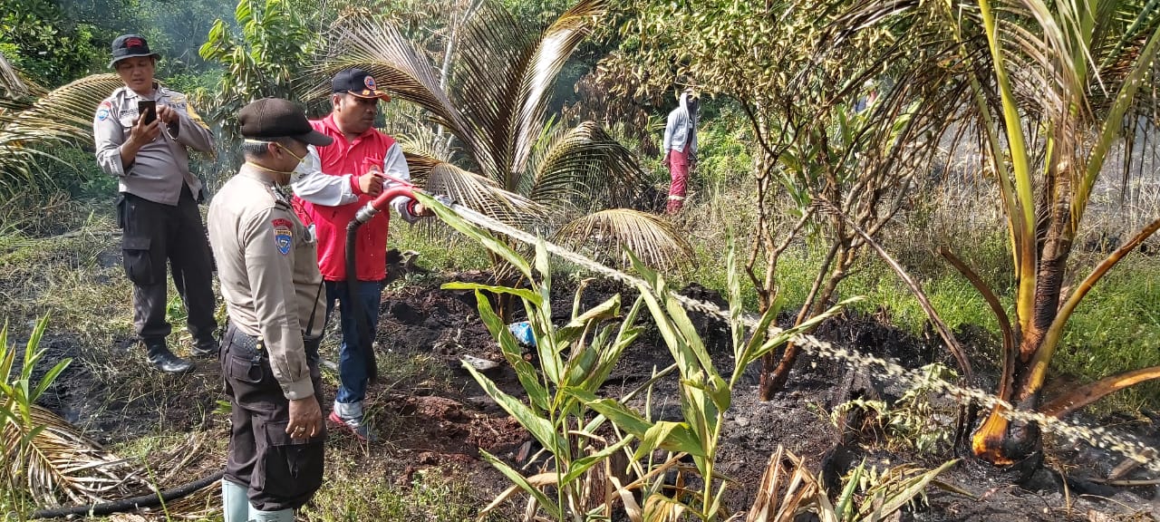 3 Hektar Lahan Terbakar Berhasil Dipadamkan BPBD Pekanbaru