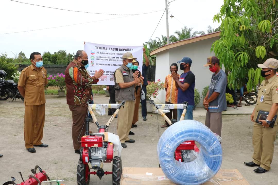 Wawako Serahkan Bantuan PT. CPI Pada Kelompok Tani